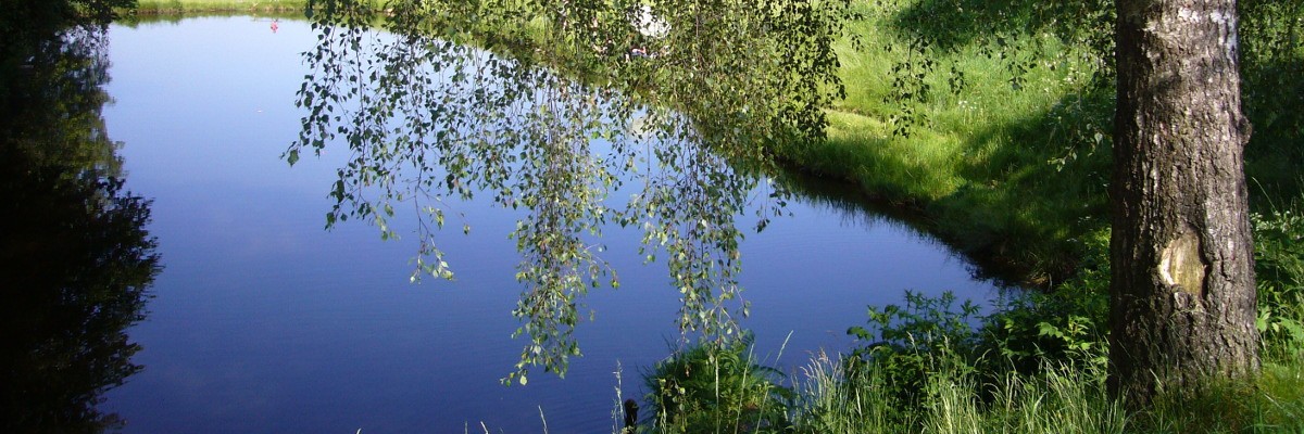 Landschaft mit Teich am Haugstein